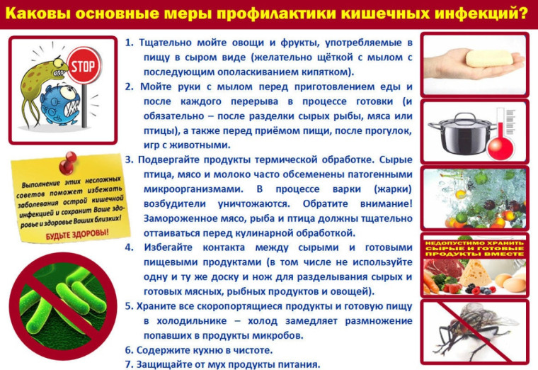 Меры профилактики кишечных инфекции.